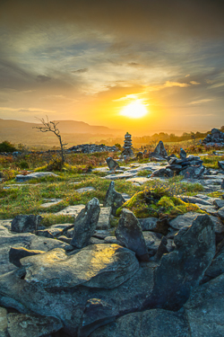 autumn,fahee,golden,hills,limited,lone tree,mist,october,portfolio,prayer,stone,sunrise,portfolio,pick-hills,limited