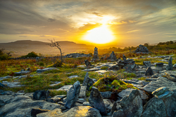 autumn,fahee,golden,hills,lone tree,mist,october,prayer,stone,sunrise,pick-hills