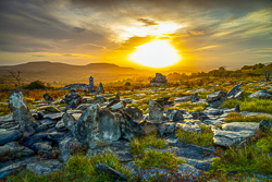 autumn,fahee,golden,hills,lone tree,mist,october,portfolio,prayer,stone,sunrise,pick-hills,limited