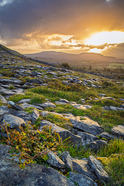 fahee,golden,hills,pick-hills,portfolio,september,summer,sunrise,wall