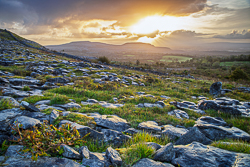 fahee,golden,hills,pick-hills,portfolio,september,summer,sunrise,wall