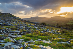 fahee,golden,hills,pick-hills,september,summer,sunrise,wall