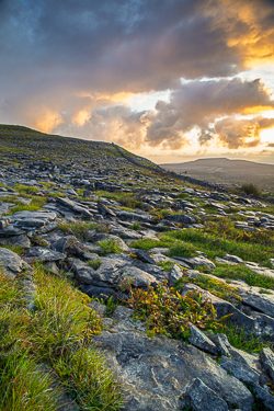 fahee,golden,hills,pick-hills,september,summer,sunrise,walls