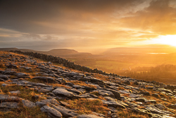 fahee,golden,hills,january,mist,pick-hills,limited,wall,winter,portfolio