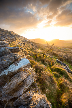 april,fahee,lone tree,spring,sunrise,wall,hills,golden