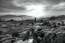 autumn,fahee,golden,hills,lone tree,mist,monochrome,october,prayer,stone,sunrise