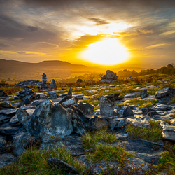 autumn,fahee,golden,hills,lone tree,mist,october, prayer,square,stone,sunrise