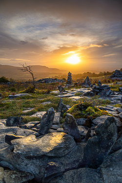 autumn,fahee,golden,hills,lone tree,mist,october,portfolio,prayer,stone,sunrise