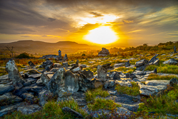 autumn,fahee,golden,hills,lone tree,mist,october,portfolio,prayer,stone,sunrise