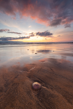 fanore,jellyfish,june,spring,sunset,portfolio,sand,coast,copper,brown