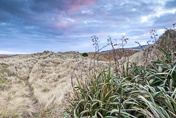 april,dunes,fanore,spring,sunrise,sand,coast