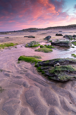 april,fanore,green algae,pink,spring,sunrise,coast