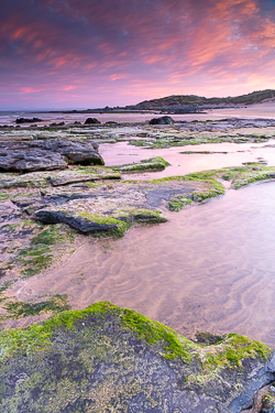 april,fanore,green algae,pink,spring,sunrise,coast