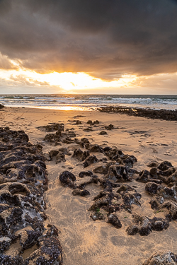 autumn,fanore,golden,october,sand,sunset,coast