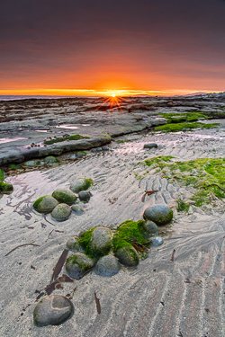 Sunrise sunstar above rippled tidal sand and algae-covered boulders at Gleninagh near Ballyvaughan.