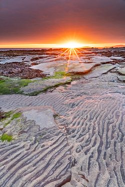 april,gleninagh,green algae,orange,sand ripples,spring,sunrise,sunstar,coast,orange