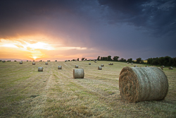 Hay bale in harvested farmland beneath dramatic sunset clouds near Gort, County Galway.