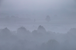 Layers of trees and fields receding into pale sunrise mist near Gort, County Galway