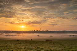 golden,gort,mist,rural,september,summer,sunrise,golden,lowland