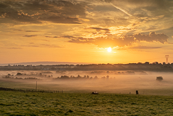 golden,gort,mist,rural,september,summer,sunrise,golden,lowland