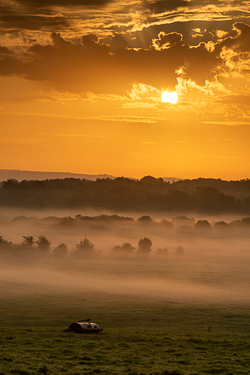 golden,gort,myst,rural,september,summer,sunrise,portfolio,lowland