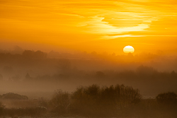 autumn,golden,gort,lowland,mist,november,orange,sunrise,portfolio