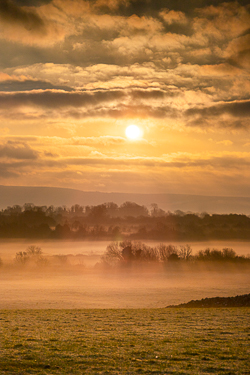 autumn,december,gort,mist,sunrise,golden,lowland