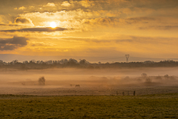 autumn,december,gort,mist,sunrise,golden,lowland