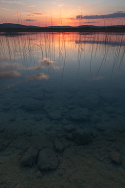 dusk,lough bunny,may,reflections,spring,lowlands
