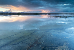 february,lough bunny,reflections,sunset,winter,lowland,blue