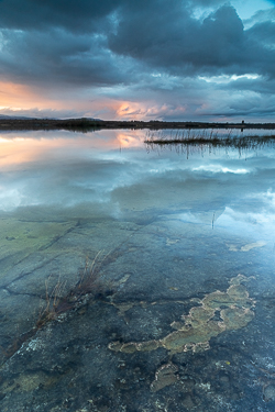 february,lough bunny,reflections,sunset,winter,lowland,blue