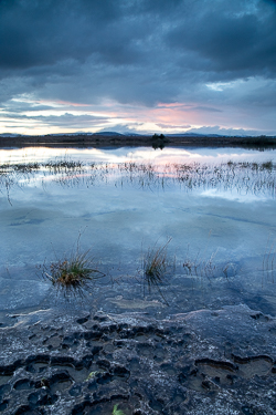 february,lough bunny,reflections,sunset,winter,portfolio,blue,lowland