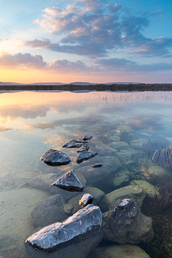 limited,lough bunny,march,spring,sunset,portfolio,golden,lowland,portfolio