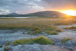 Golden sunrise spreading across limestone grassland beneath Mullaghmore in Burren National Park