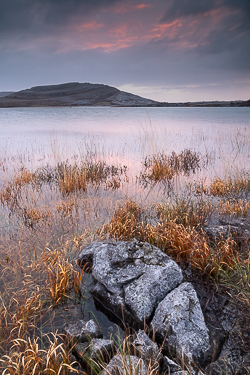 long exposure,mullaghmore,november,sunrise,winter,park,pink,golden