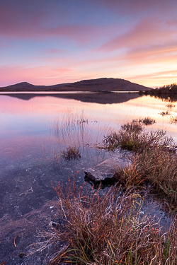 autumn,long exposure,mullaghmore,november,pink,reflections,twilight,park