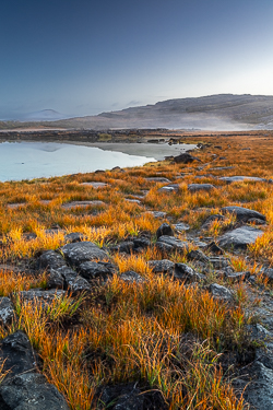 autumn,colours,mist,mullaghmore,october,park,reflections,sunrise,portfolio