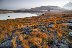 autumn,colours,mist,mullaghmore,october,park,reflections,sunrise