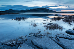 april,blue,long exposure,mullaghmore,spring,twilight,park