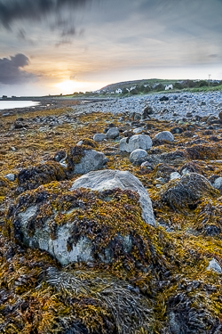 long exposure,new quay,september,summer,sunrise,coast