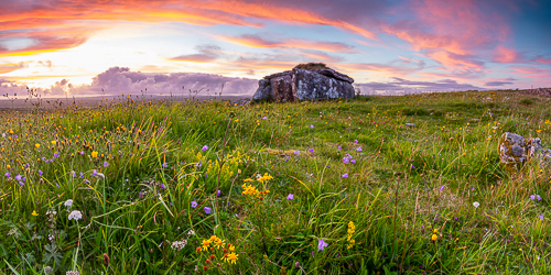 august,flower,panorama,parknabinnia,pink,summer,sunset,tomb,hills