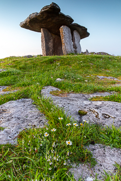 august,dolmen,flowers,landmark,poulnabrone,summer,portfolio,roughan,tomb,daisies,hills