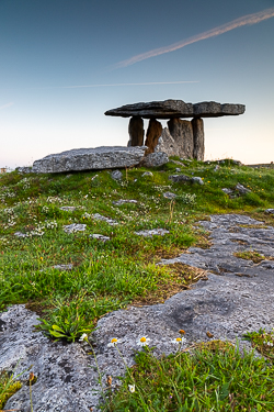 august,dolmen,flowers,landmark,poulnabrone,summer,tomb,daisies,hills,roughan