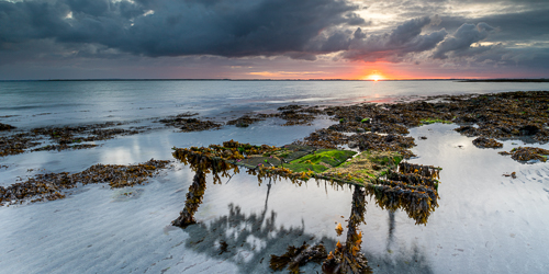 coast,june,oyster bed,panorama,rosshill,summer,sunrise