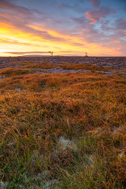 autumn,golden,lowlands,red,september,sunrise