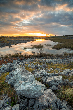 golden,january,lowland,pick-lowland,reeds,reflections,sunset,winter