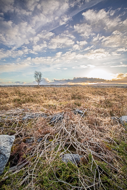 evening,golden,lowlands,march,sunset,winter