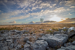 evening,golden,lowlands,march,pick-lowland,sunset,winter