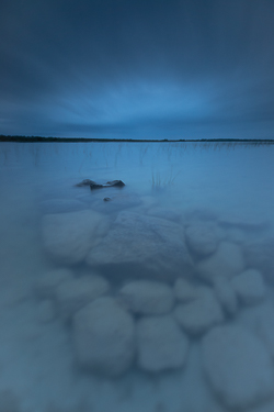 blue,bunny,dusk,long exposure,may,kozu,spring