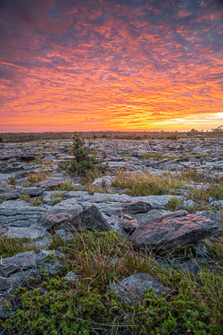 Fiery sunrise above weathered limestone pavement and sparse vegetation in the Burren, County Clare